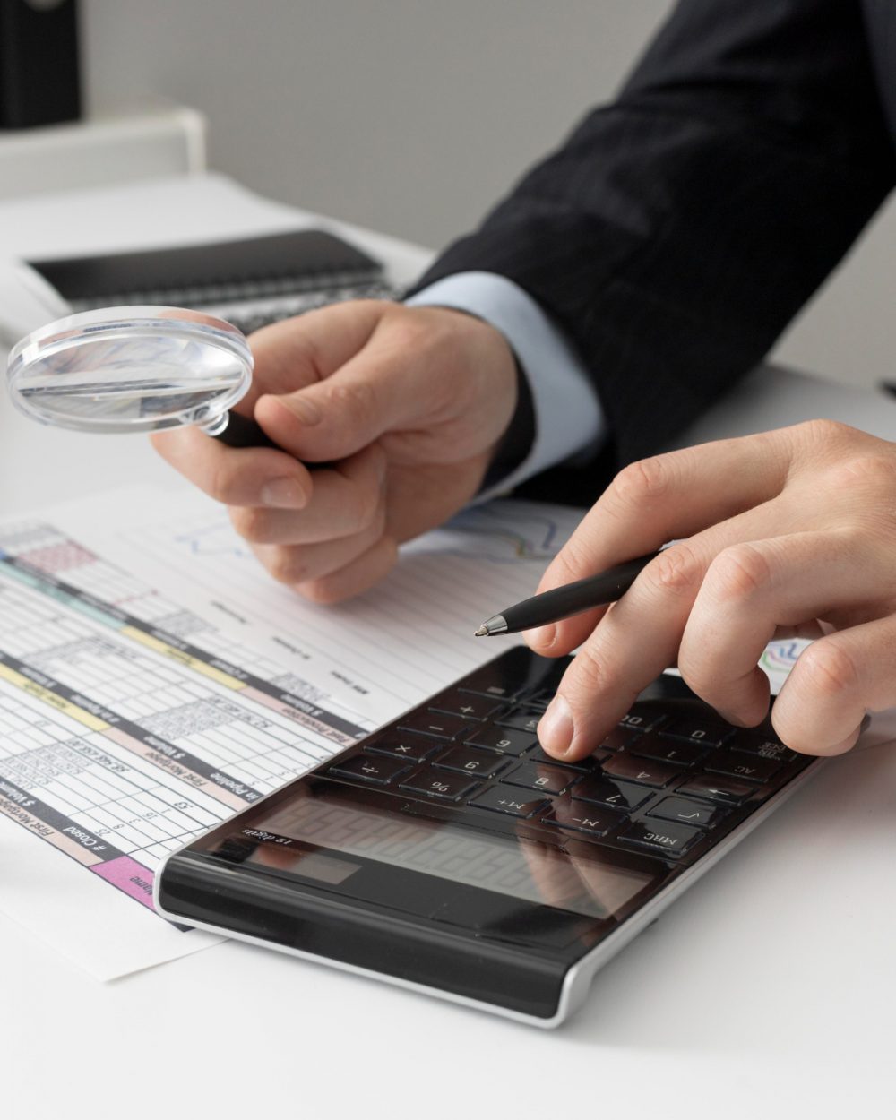 Iris audit Representation